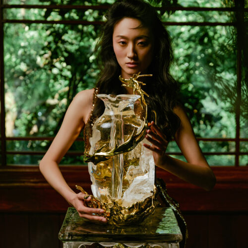 "auspicious crown" crystal stag bust | abstract zen animal sculpture (copy)