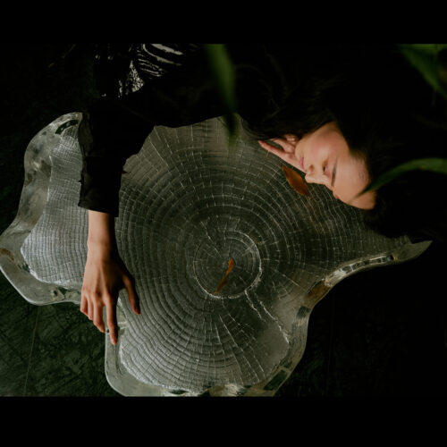 "frozen timber" crystal wood grain coffee table | wabi sabi art (copy)